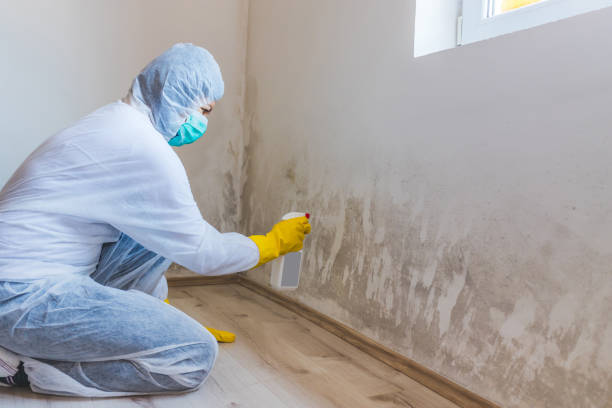 Hvac And Air Duct Mold Remediation inspection of HVAC system in Basking Ridge