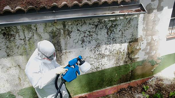 Mold Remediation service in Basking Ridge, Basking Ridge, NJ